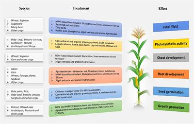 Enhancing crop resilience by harnessing the synergistic effects of biostimulants against abiotic stress